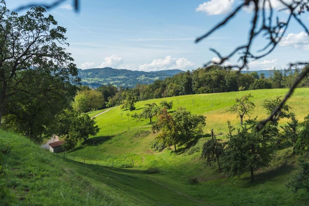 شقة Gruenewaldhof In Rimbach Im Odenwald المظهر الخارجي الصورة