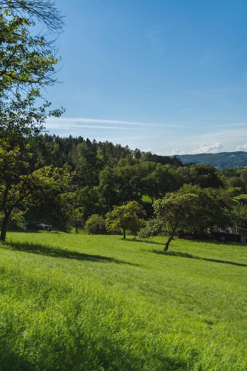 شقة Gruenewaldhof In Rimbach Im Odenwald المظهر الخارجي الصورة