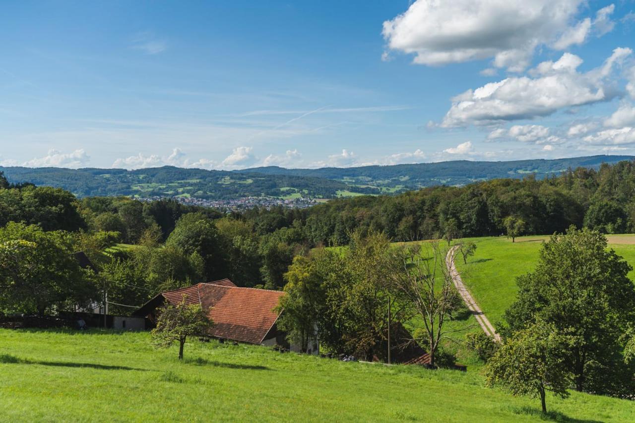شقة Gruenewaldhof In Rimbach Im Odenwald المظهر الخارجي الصورة